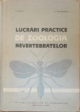ZOOLOGIA NEVERTEBRATELOR LUCRARI PRACTICE, 1965