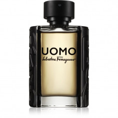 Salvatore Ferragamo Uomo Eau de Toilette pentru bărbați 100 ml