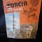Turcia, ghid turistic - Viorica Dinescu