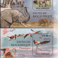 120=MOZAMBIC-Fauna-elefanti si Flamingo-2 blocuri nestampilate