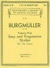 Twenty-Five Easy and Progressive Studies for the Piano, Op. 100: Piano Solo