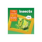 Little Kids First Board Book: Insects