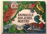 Animalele din jurul nostru - Irene Geiling 1985 - CARTONATA, tiparita in R.D.G.