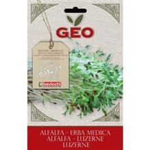 Seminte de Germinare Bio Lucerna Geo 40gr Cod: zer0203 foto