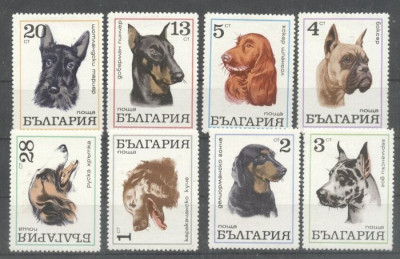 Bulgaria 1970 Dogs, MH M.211 foto