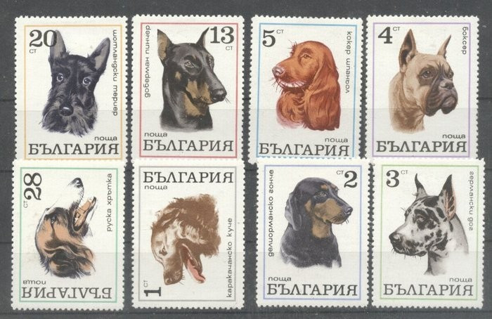Bulgaria 1970 Dogs, MH M.211