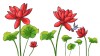 Sticker decorativ, Flore rosii, 150 cm, 396STK-2, natura si peisaje