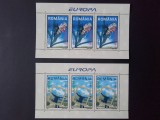 2003 - Europa 2003 - doua blocuri dantelate LP1611 a, Nestampilat