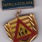 INSIGNA PIONIER Patrula scolara medalie
