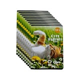 Set 10 Caiete Tip 2, 24 File, A5, Coperta Lucioasa, Hartie 70g/mp