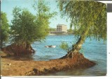 @ carte postala(ilustrata)-TULCEA-Hotel Delta