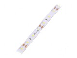 Bandă LED albă 2835 60 LED/m IP33 10mm 12W CRI 80