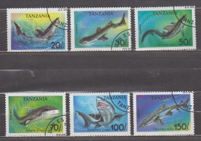 A12 S5 3 - Timbre foarte vechi - Tanzania - specii de rechini foto