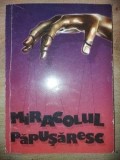 Miracolul papusaresc: Gala Internationala a Teatrelor de Papusi &bdquo;Licurici-60&rdquo;- Victoria Pasecinic