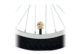 Capac valva craniu cruce csa-v21 2b aur, Pegas