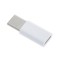 Mini convertor adaptor MicroUSB la Jack de Tip C