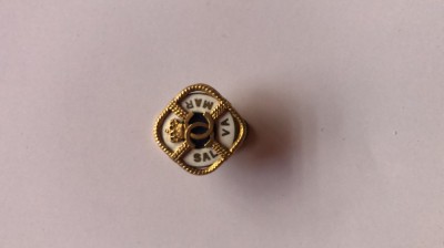 Insigna regalista SALVAMAR Carol II foto