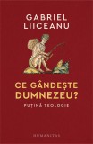 Ce g&acirc;ndește Dumnezeu? Puțină teologie, Humanitas