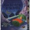 Go To Sleep Little Baby - Usborne Touchy-Feely + CD