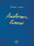Anatomia luminii - Andrei Gazsi - Scoala Ardeleana