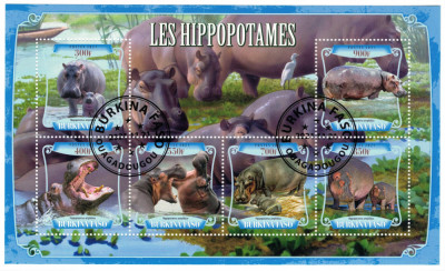 BURKINA FASO 2021 - Hipopotami/ colita+bloc foto