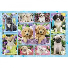 Puzzle 200 piese - Puppies | Schmidt