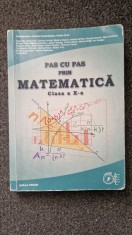 PAS CU PAS PRIN MATEMATICA CLASA A X-A - Constantinescu, Zirna