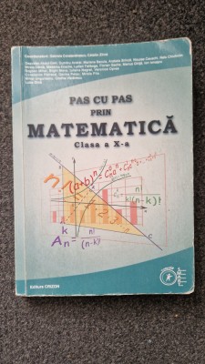 PAS CU PAS PRIN MATEMATICA CLASA A X-A - Constantinescu, Zirna foto