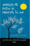 Opreste-te putin si priveste in jur - Haemin Sunim - Editura Trei