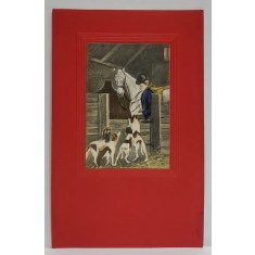 TANARA CU CALUL SI OGARII , CARTE POSTALA ILUSTRATA , EMBOSATA , 1908