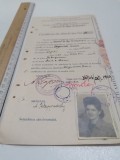 Cumpara ieftin CERTIFICAT DE ABSOLVIRE COAFEZA 1949