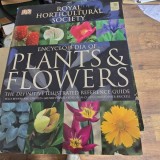 Encyclopedia of plants &amp; flowers - Christopher Brickell