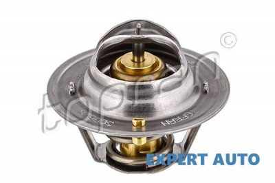 Termostat Ford Scorpio 2 (1994-1998) [GFR, GGR] foto
