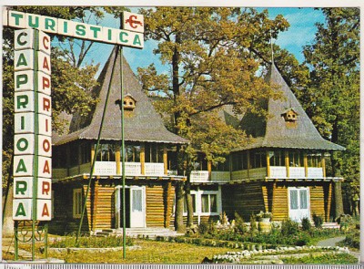 bnk cp Focsani - Cabana turistica Caprioara - necirculata - marca fixa foto