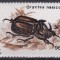 1996 Insecte I LP1404 MNH Pret 2+1Lei