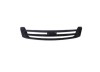 Grila radiator Iveco Daily, 05.2006-2009, montare fata, negru; intern, RapidAuto