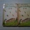 IONEL TEODOREANU - Arca lui Noe -2 Volume - editia II, 1936, 270+272 p.