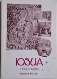 Iosua. O privire de ansamblu &ndash; Beniamin Faragau. Carte beletristica