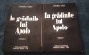 OVIDIU VUIA - IN GRADINILE LUI APOLO