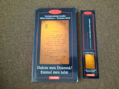 Dulcea mea doamna / Eminul meu iubit corespondenta inedita Eminescu - V. Micle