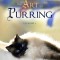 The Dalai Lama&#039;s Cat and the Art of Purring