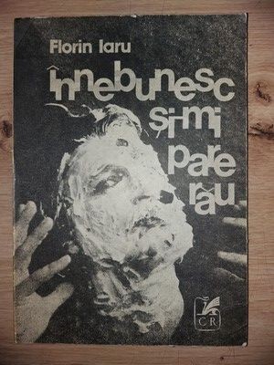 Innebunesc si-mi pare rau- Florin Iaru foto