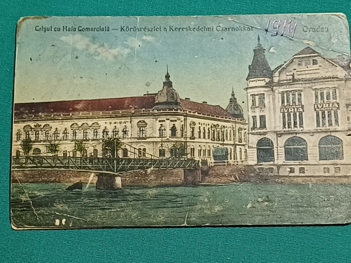 CARTE POȘTALĂ CRIȘUL CU HALA COMERCIALĂ* ORADEA / 1914 *