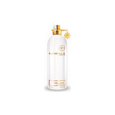 Montale Nepal Aoud EDP 100 ml foto