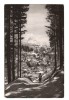 CPIB 19561 CARTE POSTALA - VEDERE DE PE PISCUL CAINELUI, RPR, Circulata, Fotografie
