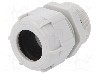 Presetupa poliamida, PG29, IP68, BM GROUP - BM4029L foto