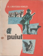 Alexandru I. Bratescu-Voinesti - Puiul