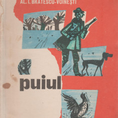 Alexandru I. Bratescu-Voinesti - Puiul