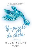 Un puzzle de sticla. Seria Fata invizibila Vol.2 - Blue Jeans