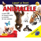 Lipesti si inveti animalele. Cu peste 100 de fotografii inedite si curiozitati din viata animalelor, 4+ - Diana Rotaru